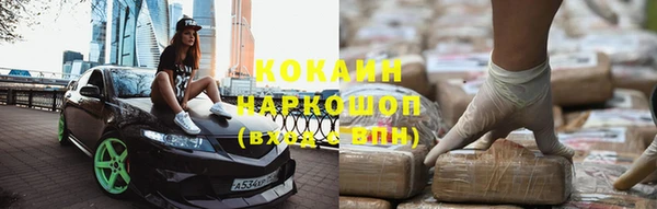 прущие грибы Вязьма