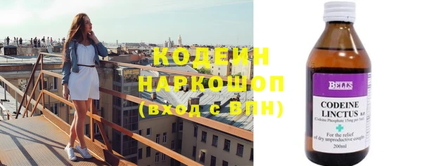 прущие грибы Вязьма