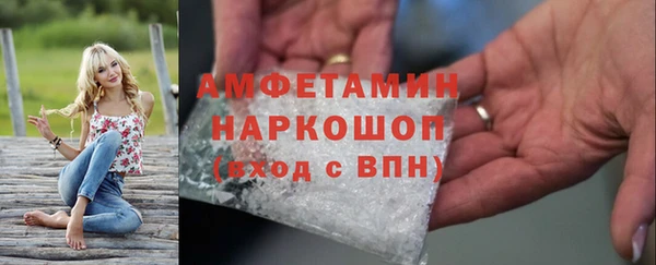 прущие грибы Вязьма