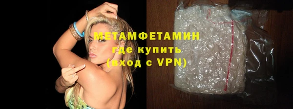 прущие грибы Вязьма