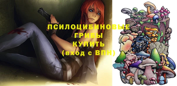 прущие грибы Вязьма
