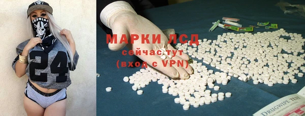 прущие грибы Вязьма