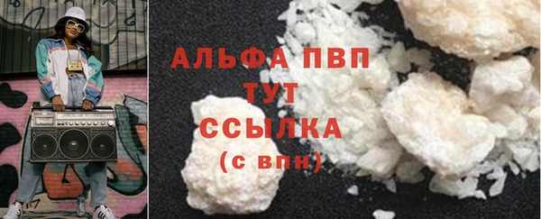 прущие грибы Вязьма