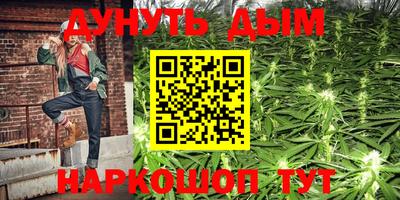 эйфоретик Аргун