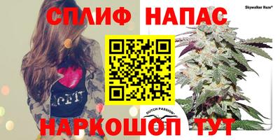 прущий лед Камышлов