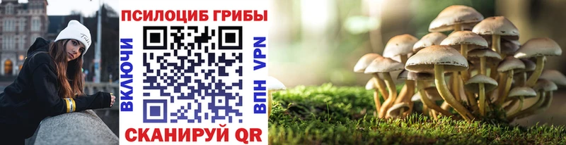 Галлюциногенные грибы Psilocybine cubensis  Наро-Фоминск 