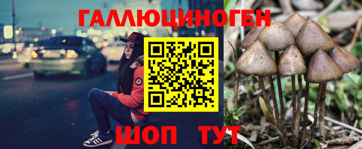 Наро-Фоминск  Галлюциногенные грибы мухоморы  Вход с VPN  где купить наркоту  Галлюциногенные грибы Psilocybine cubensis 