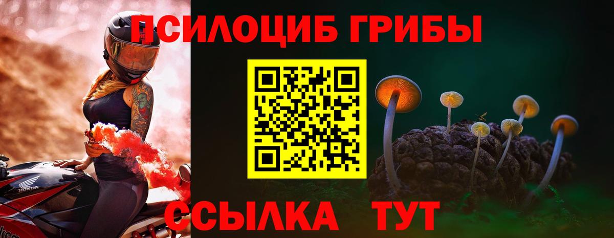 Галлюциногенные грибы прущие грибы Наро-Фоминск